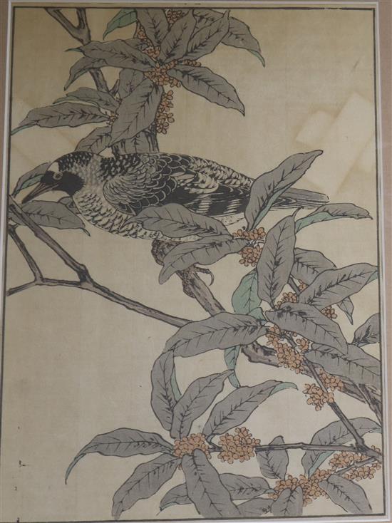 Japanese School Studies of birds amongst foliage 13 x 9in.